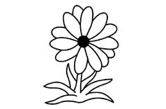 motif fleurs simple gravure verre