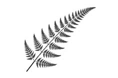 motif fougère pour verre gravé