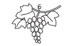 motif grappe raisin pour verre à vin